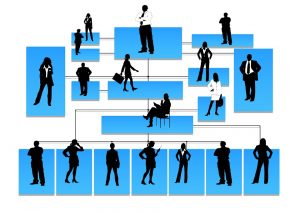 Graph of business hierarchy