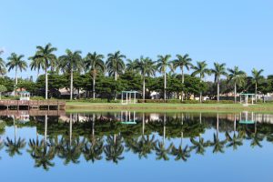 Nature in Florida is a big reason for buying a home in Florida