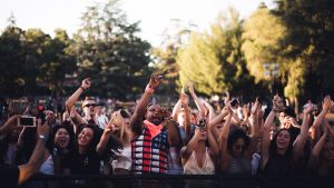 crowd cheering at a concert