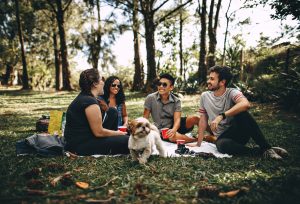 Four friends talking about Florida college life.