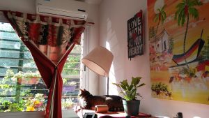 A cat sitting on a closet in new room