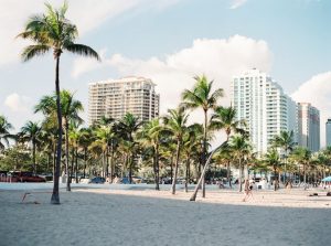 Palms on a beach in Miami.