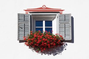 Flowers on the window put there after moving into a smaller home