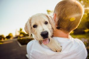 dog and a boy