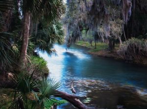 Spring in Florida