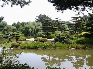 Japanese garden