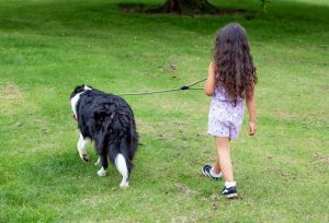 Girl walking a dog