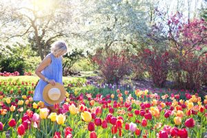 A woman walking in her flower garden.