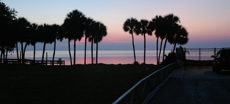 Palms in the shadows