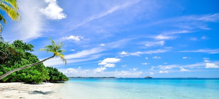 A sunny beach in Florida.