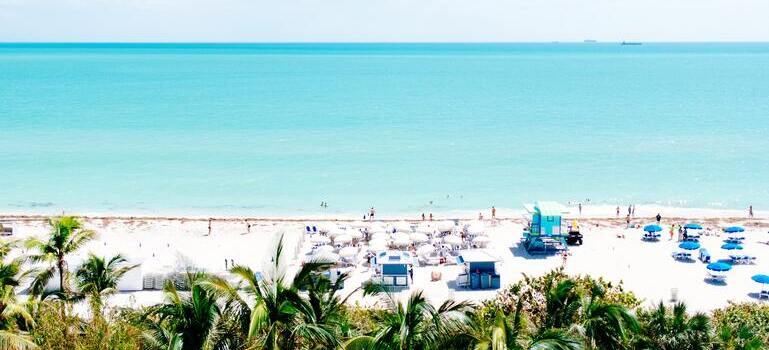 beach during the day