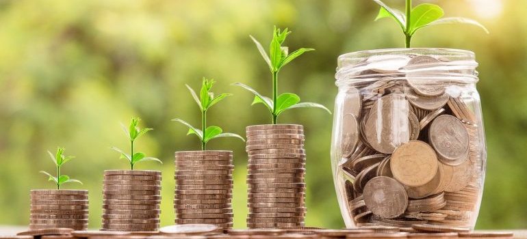 Plants growing out of coin stacks.