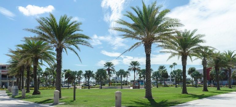 A park - Moving from Pompano Beach to Kendall