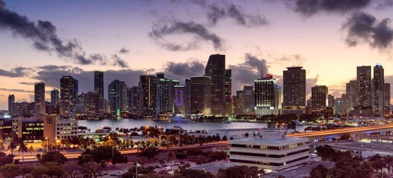 miami skyline 