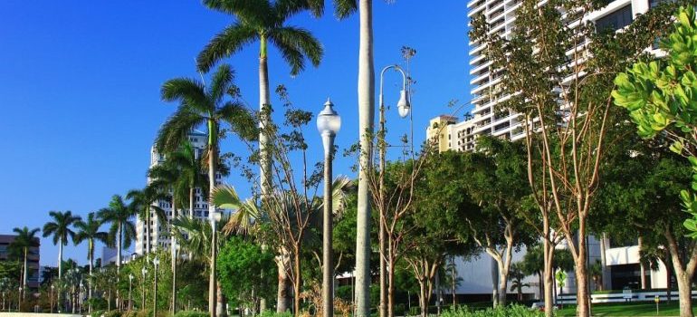 A street in Palm Beach, FL