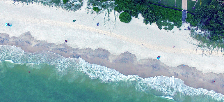 a beach in Naples FL