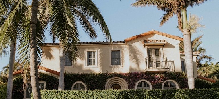 house with palm trees