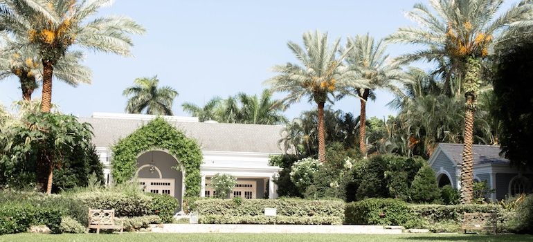 a house surrounded by palms