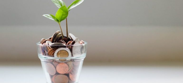 coins in the glass with a plant