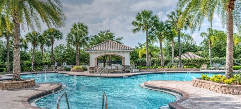 palm trees near pool