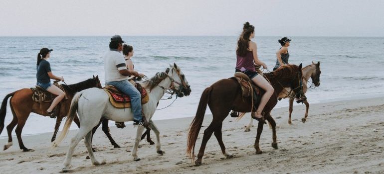 people riding horses on the beach by the sea