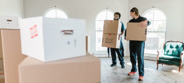 Professional commercial movers Florida City FL carrying boxes