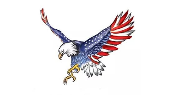USA Shed Movers company logo