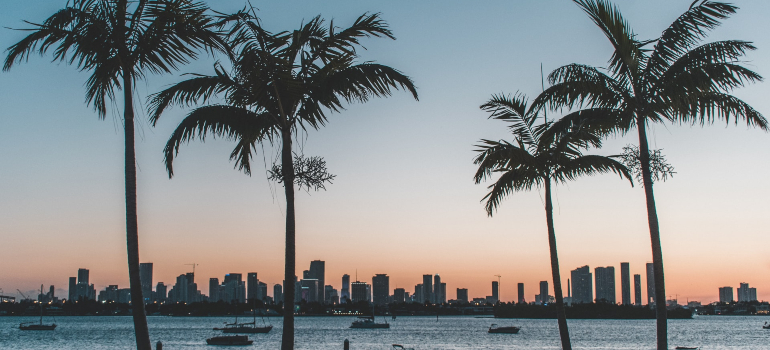 a distant view of a city on the horizon with palm trees in front of it