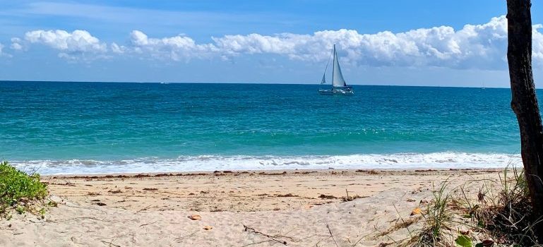 Beach and ocean 