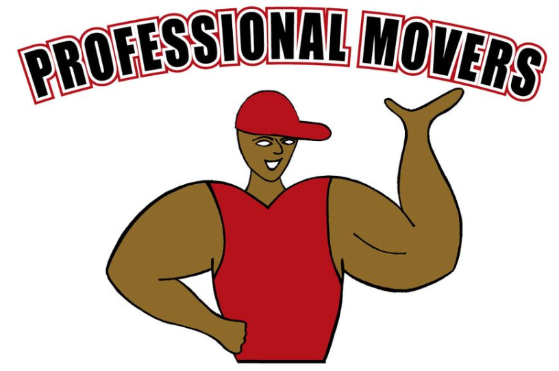 Professional Movers Florida company logo