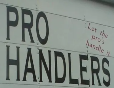 PRO Handlers Moving company logo