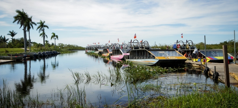 Everglades, Florida, USA.