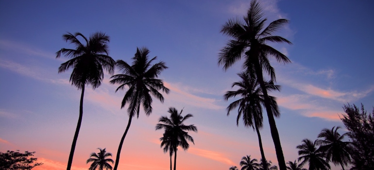 Picture of Florida sky