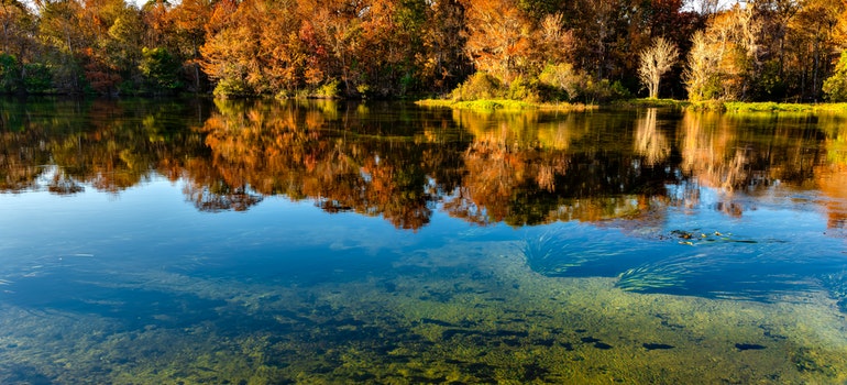 Wakulla Springs