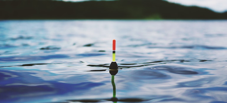 Bouy in water