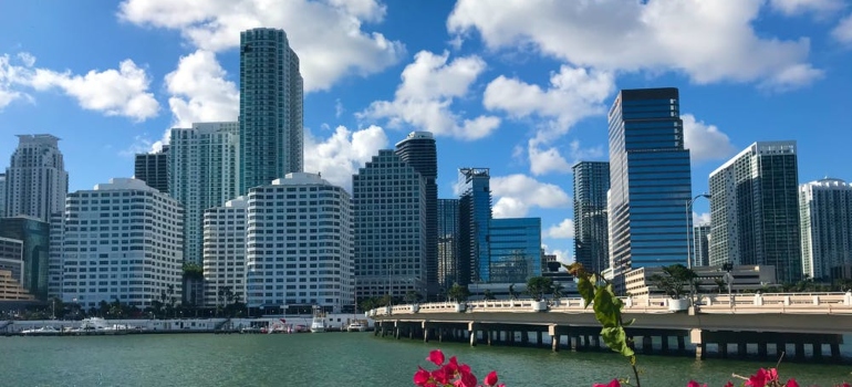 tall buildings next to a river