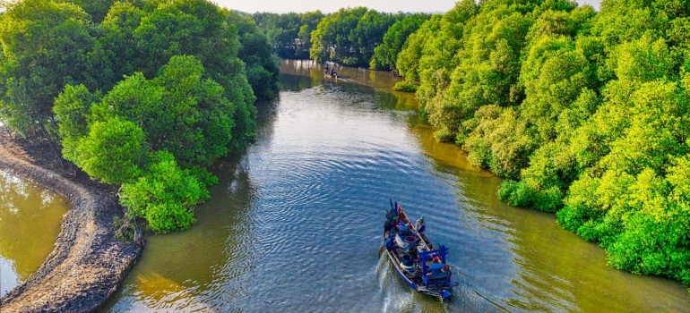 a boat on the river surrounded by trees