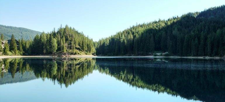 calm lake and trees