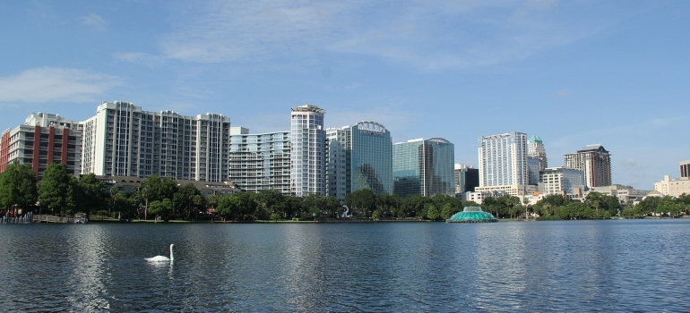 Orlando Eola lake swan 