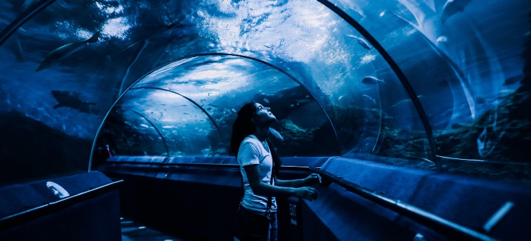 A woman looking at fish in a tunnel in an aquarium