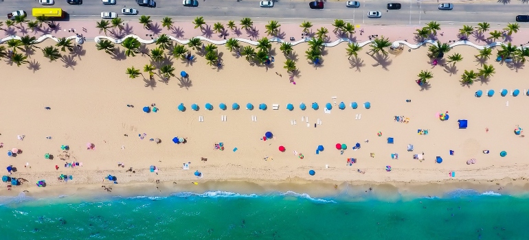 aerial view of the beach