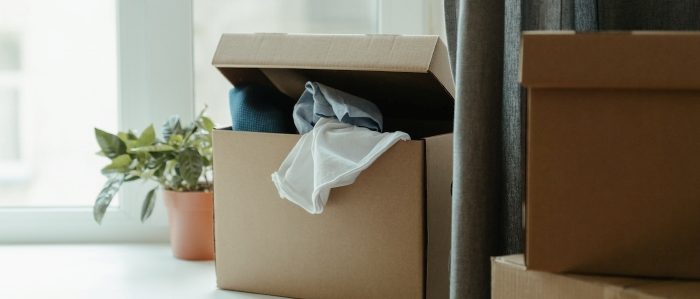 A partialy opened moving box positioned next to a plant and the window 