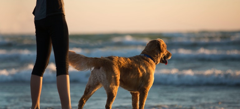 a woman and her Labrador standing on a beach at sunset in Florida