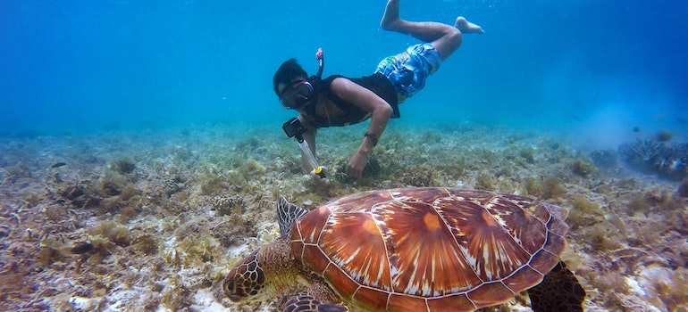 Man filming a turtle underwater.