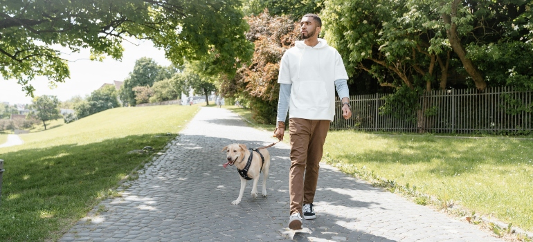 a man walking his dog